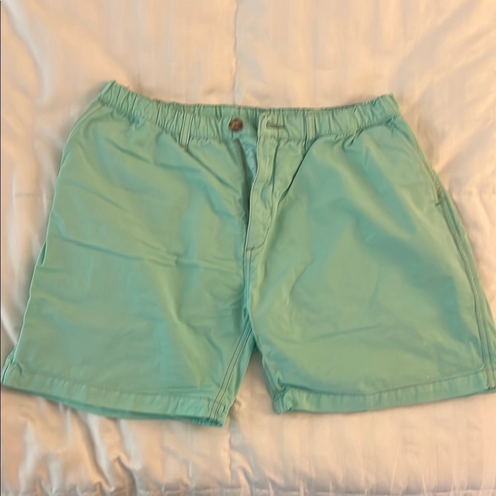 Chubbies, Mint Green, flat front casual shorts